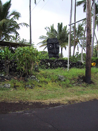 Foto Hawaiis Straßenränder