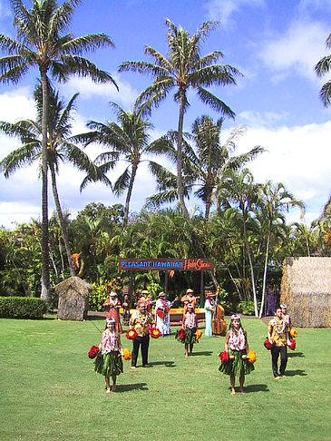 Hula Show - Hawaii