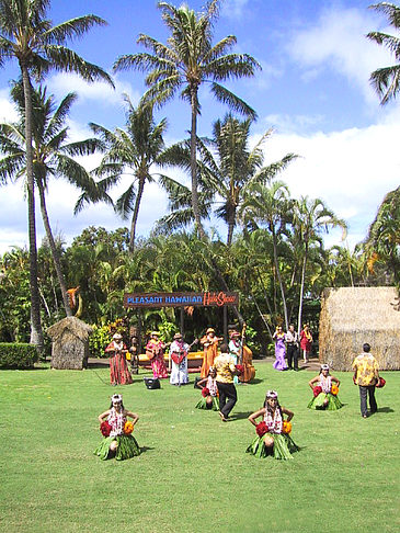 Hula Show - Hawaii