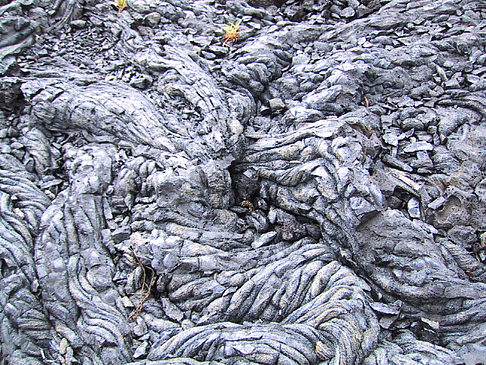 Erstarrte Lava - Hawaii