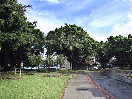 Hawaiis Straßenränder - Hawaii