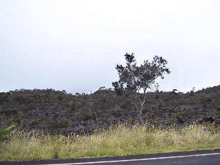 Hawaiis Straßenränder - Hawaii