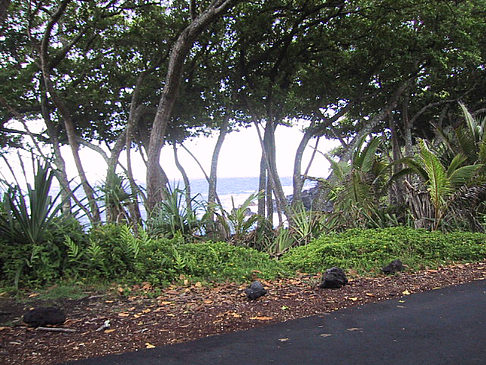 Hawaiis Straßenränder - Hawaii