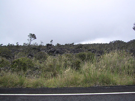 Hawaiis Straßenränder - Hawaii