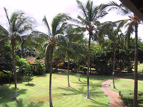 Hotelanlage auf Maui - Hawaii