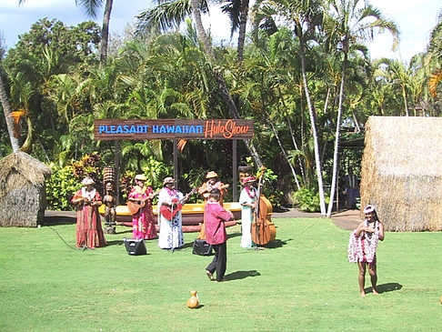 Hula Show - Hawaii