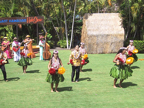 Hula Show - Hawaii