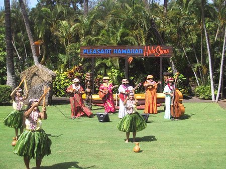 Hula Show - Hawaii