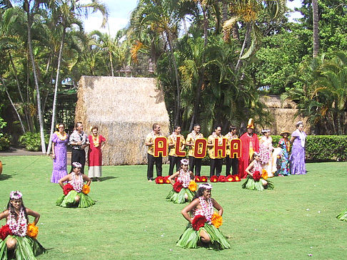 Hula Show