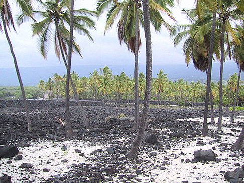 Der Strand von Hawaii - Hawaii