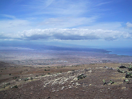Trockene Landschaft - Hawaii